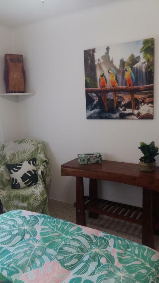 Appartement F3 Valescure Saint-Raphaël Kültér fotó